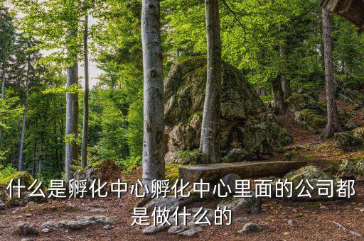 信隆實業(yè)是做什么的，什么是孵化中心孵化中心里面的公司都是做什么的