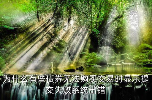 為什么有些債券無(wú)法購(gòu)買(mǎi)交易時(shí)顯示提交失敗系統(tǒng)出錯(cuò)