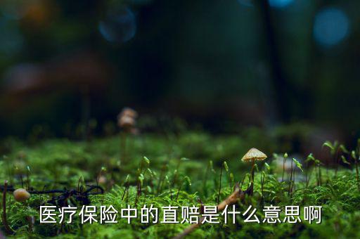 醫(yī)療保險(xiǎn)中的直賠是什么意思啊