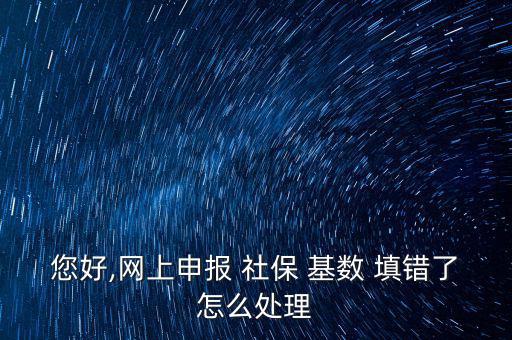 您好,網(wǎng)上申報(bào) 社保 基數(shù) 填錯了怎么處理