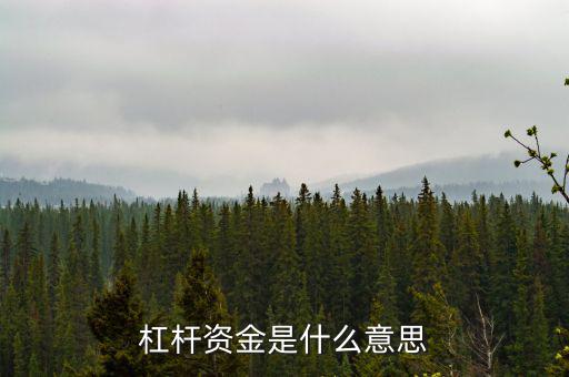 資金杠桿是什么意思，投資里面的杠桿是什么意思