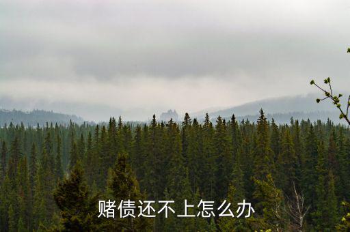 賭債高筑怎么辦,賭債不受法律保護債權人需自行提起訴訟