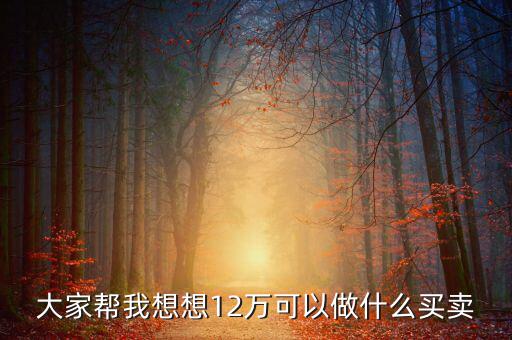 12萬投資什么項目，投資十二萬元能做什么呢