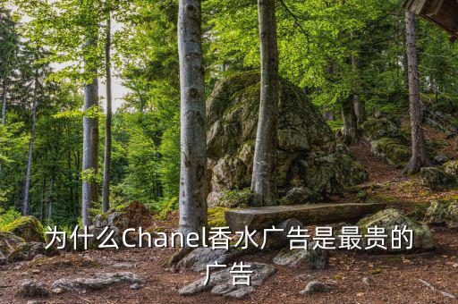 為什么要拍史上最貴廣告，為什么央視新聞聯(lián)播時段的廣告是最貴