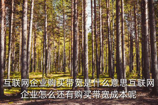 帶寬采購是什么意思，請問帶寬出口批發(fā)是什么出口的定義是 麻煩幫幫忙