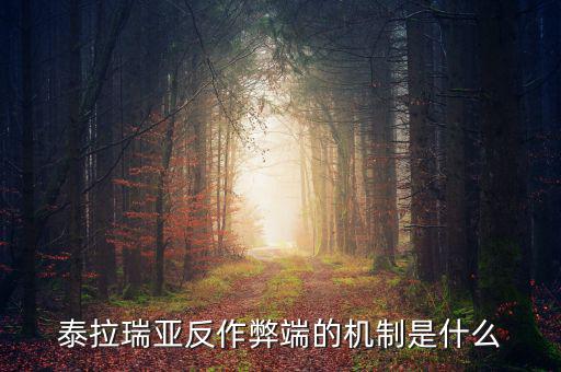 什么是反舞弊機制，google廣告聯盟反作弊系統原理嗎