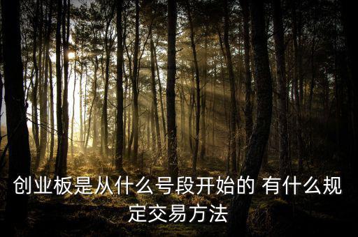 創(chuàng)業(yè)板什么開頭，創(chuàng)業(yè)板代碼什么數(shù)字開頭
