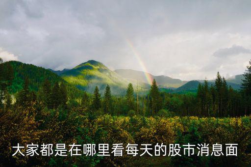 每天的股票信息看什么網(wǎng)站，大家都是在哪里看每天的股市消息面