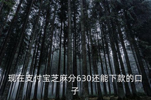 支付寶口子是什么意思，支付寶口子是什么意思