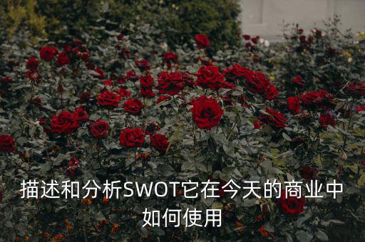 st戰(zhàn)略是什么意思，ST戰(zhàn)略是什么意思