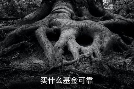什么基金靠譜，哪些基金公司比較靠譜