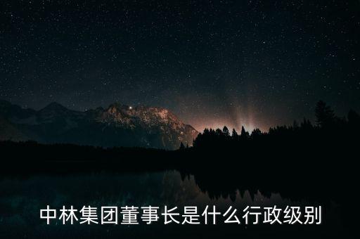 中林集團董事長是什么行政級別