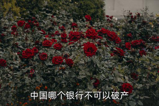 中國哪個(gè)銀行不可以破產(chǎn)