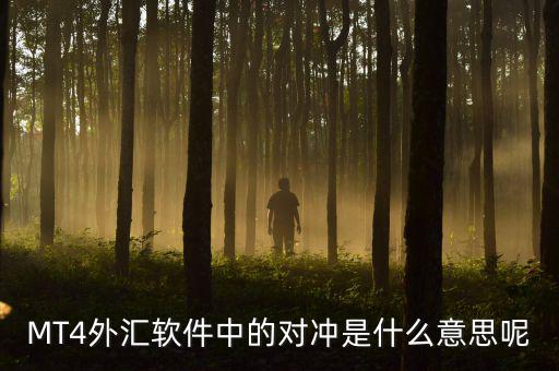 MT4外匯軟件中的對(duì)沖是什么意思呢