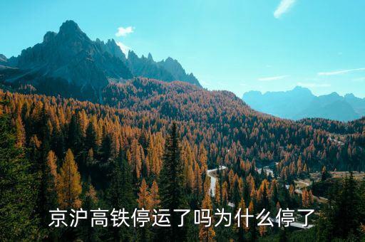 京滬高鐵停運了嗎為什么停了