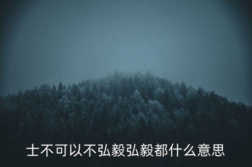 市布可以不弘毅什么意思，曾子曰士不可以不弘毅 什么意思