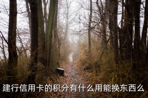 建行信用卡積分能兌換什么，請問下建行信用卡1萬多積分可以換什么