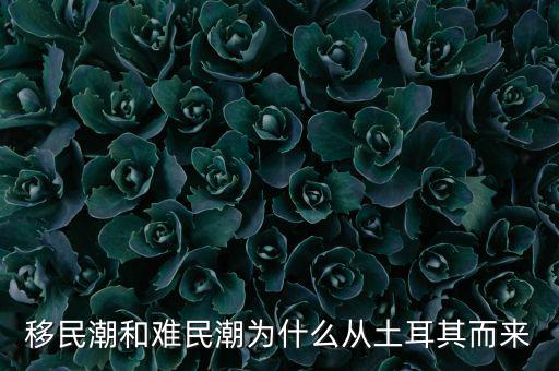 移民潮和難民潮為什么從土耳其而來