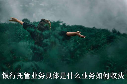 什么是票據(jù)托管，銀行托管業(yè)務(wù)具體是什么業(yè)務(wù)如何收費(fèi)