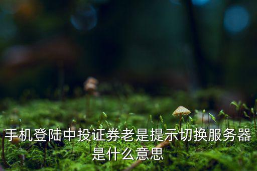 手機登陸中投證券老是提示切換服務器是什么意思
