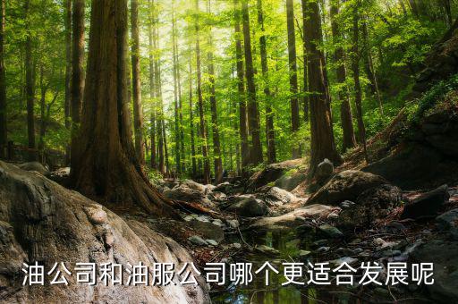 油服行業(yè)是什么，在油服公司做hr是做些什么