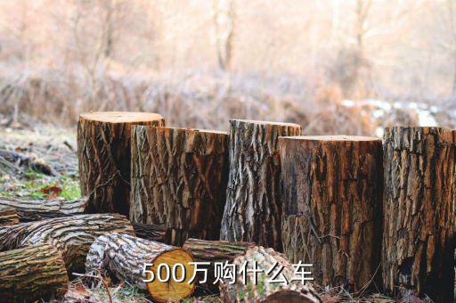 500萬身家開什么車，500萬人民幣可買什么車