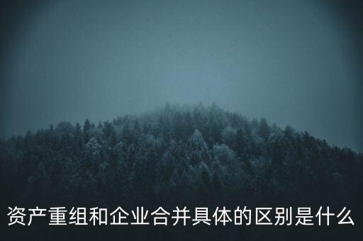 資產(chǎn)重組和企業(yè)合并具體的區(qū)別是什么