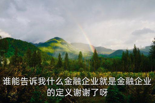 什么是金融企業(yè)，請問什么是金融企業(yè)呢或金融企業(yè)具體做什么負(fù)責(zé)什么啊