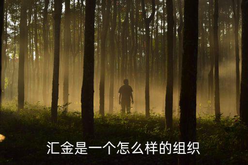 中央?yún)R金干什么的，匯金是一個怎么樣的組織