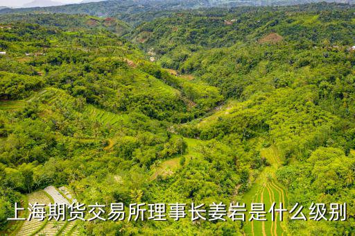 上交所理事長(zhǎng)什么級(jí)別，上海期貨交易所理事長(zhǎng)姜巖是什么級(jí)別