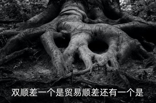 雙順差一個是貿易順差還有一個是