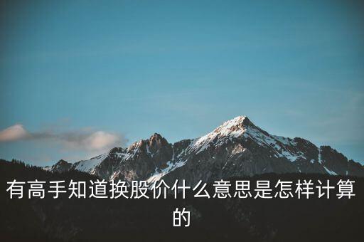 有高手知道換股價什么意思是怎樣計算的