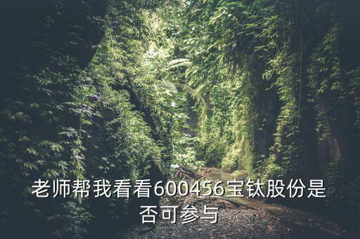 老師幫我看看600456寶鈦股份是否可參與