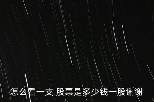 怎么看一支 股票是多少錢(qián)一股謝謝