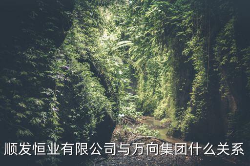 順發(fā)恒業(yè)是什么公司，順發(fā)恒業(yè)有限公司與萬向集團(tuán)什么關(guān)系
