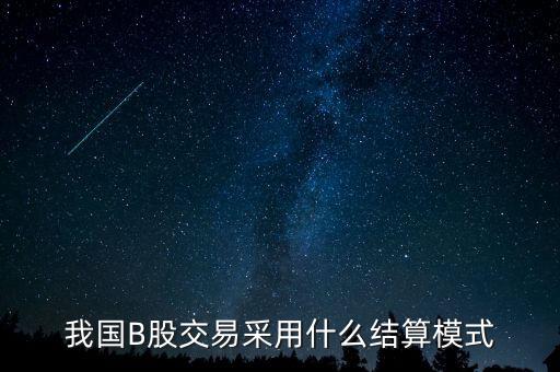 三板b股用什么結(jié)算，B股是必須用美元結(jié)算
