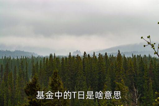 基金中的T日是啥意思
