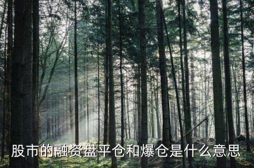 融券爆倉什么意思，股市的融資盤平倉和爆倉是什么意思