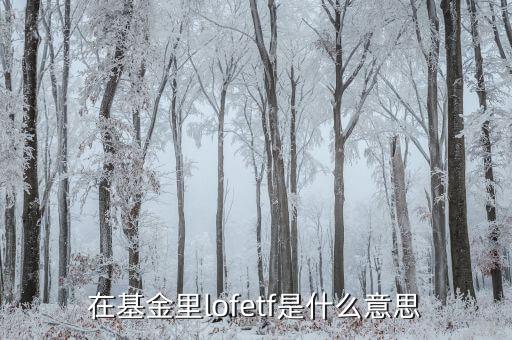 什么是etf，ETF 基金到底是什么東西