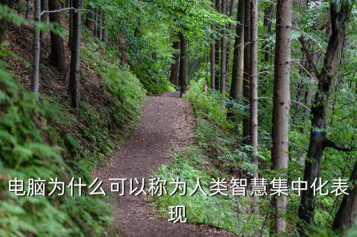 電腦為什么能夠做人工智能，電腦為什么可以稱為人類智慧集中化表現(xiàn)