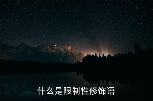什么是限制性修飾語
