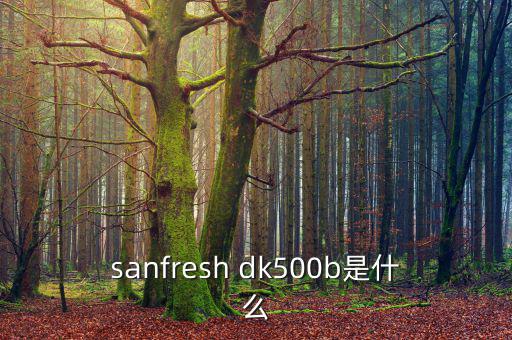 金鷹500b是什么，EOS 500B 是什么Rin的樂器