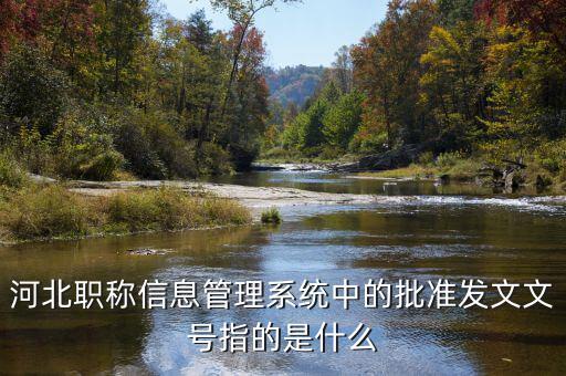 河北職稱信息管理系統(tǒng)中的批準(zhǔn)發(fā)文文號指的是什么