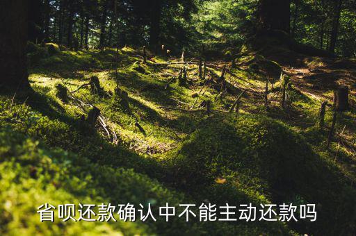 省唄還款確認(rèn)中不能主動(dòng)還款嗎