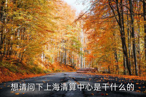 上海清算所做什么，想請問下上海清算中心是干什么的