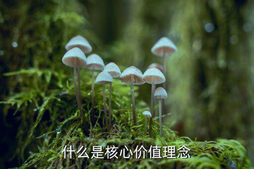 什么是核心價(jià)值理念，什么是核心價(jià)值理念
