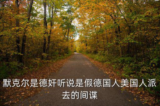 默克爾賭什么，默克爾是德奸聽說是假德國人美國人派去的間諜