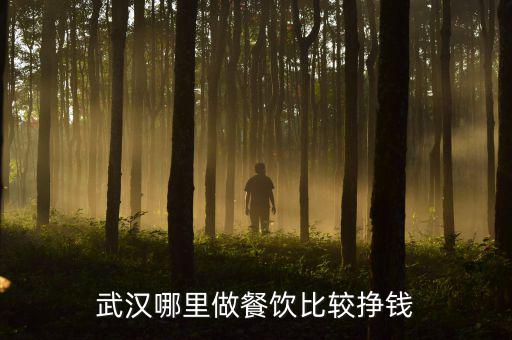 武漢哪里做餐飲比較掙錢(qián)