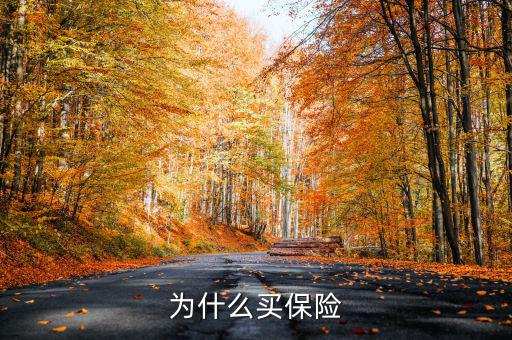 為什么買保險