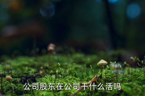 公司股東在公司干什么活嗎
